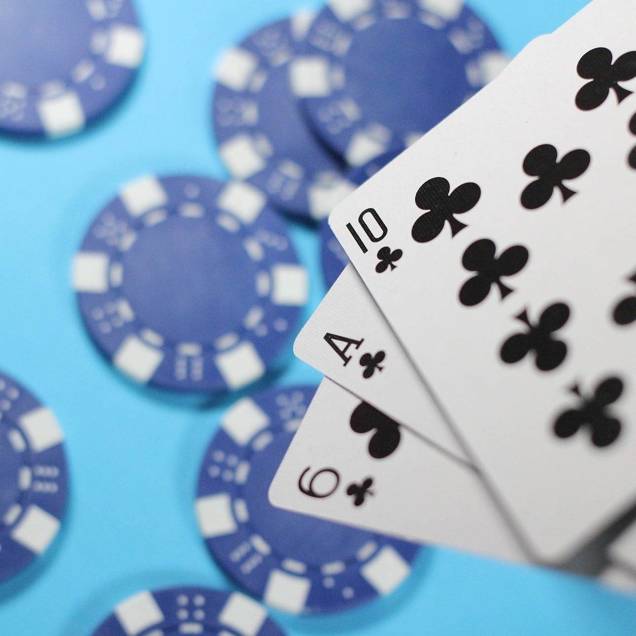 Live Blackjack table with dealer and multi-camera view on garuda raja